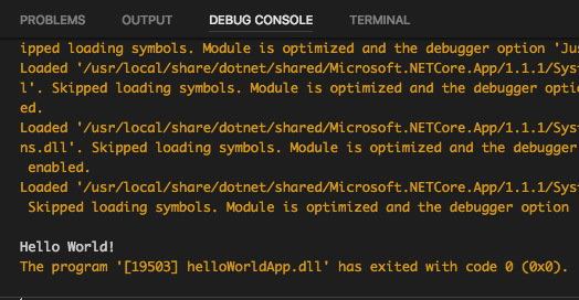 Debug Result
